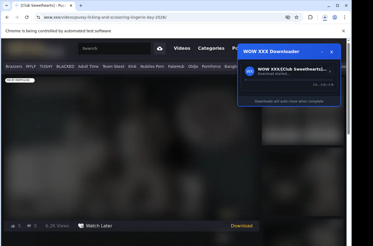 Wowxxx Video Downloader screenshot 2