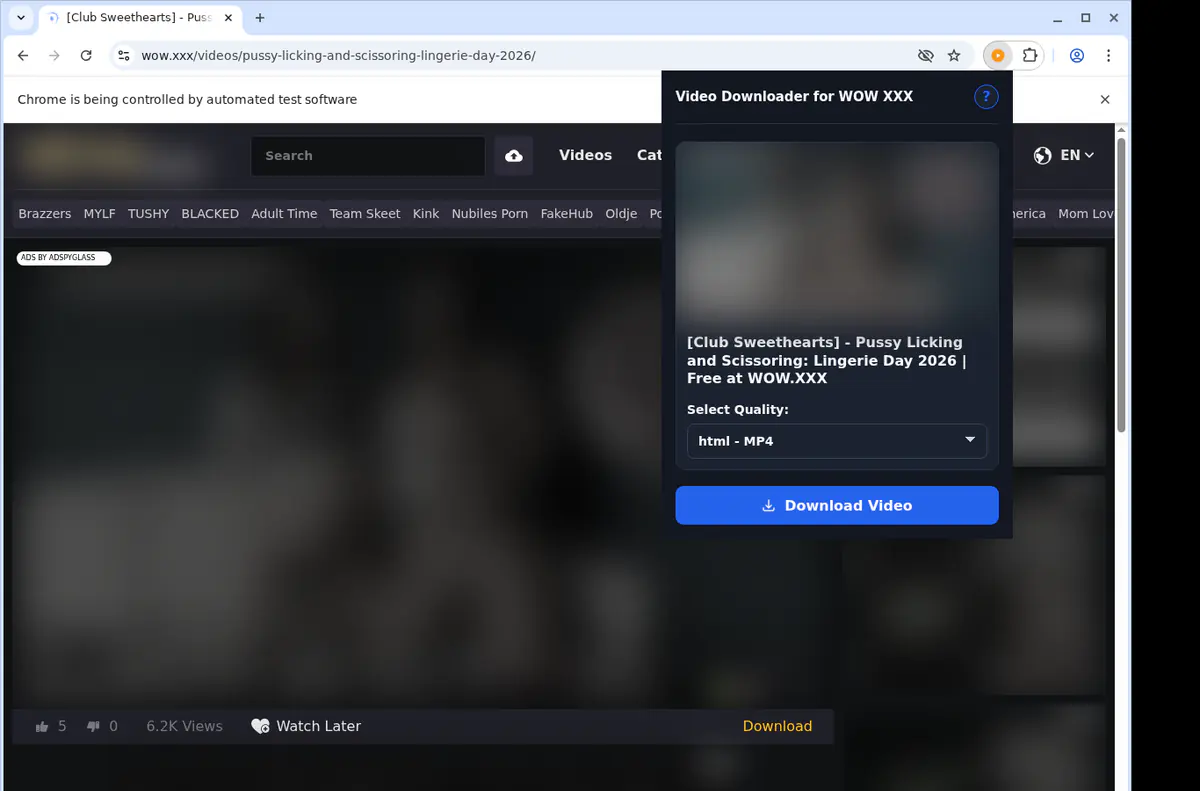 Wowxxx Video Downloader screenshot 3